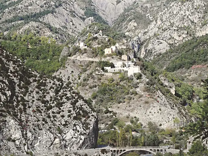Daluis