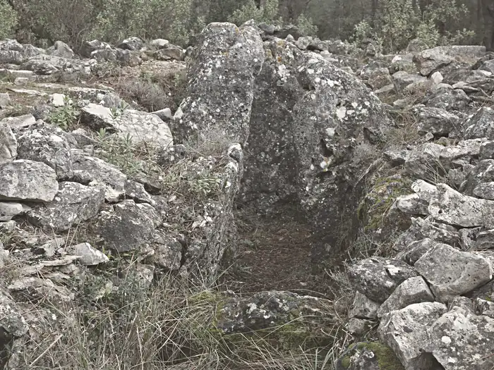 Dolmen de Colbas 1, à Saint-Cézaire-sur-Siagne