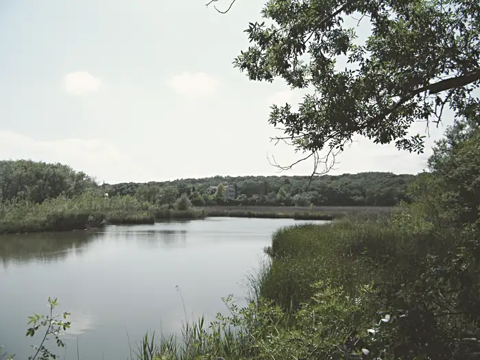Parc de Vaugrenier, à Villeneuve-Loubet